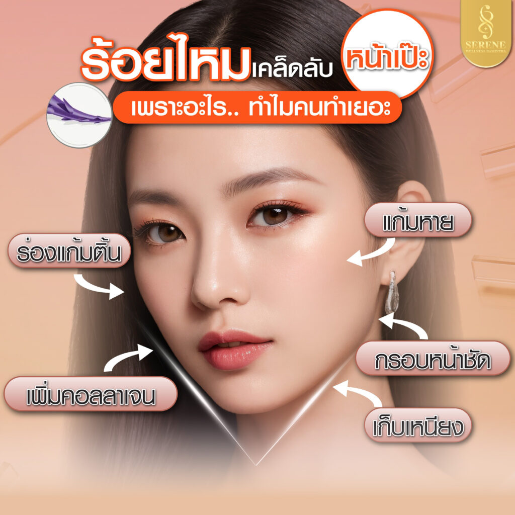 บทความ 06 1