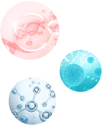 Stemcell